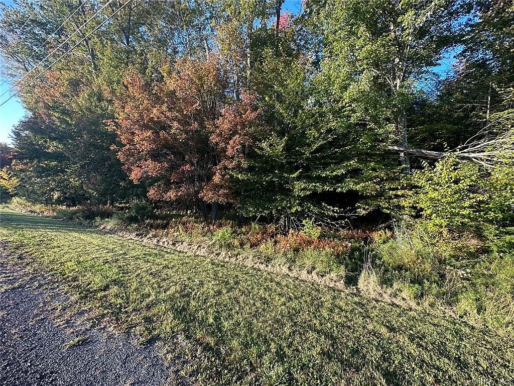 Ulster Heights Road, Fallsburg, NY 12733 | MLS #H6275528 | Zillow