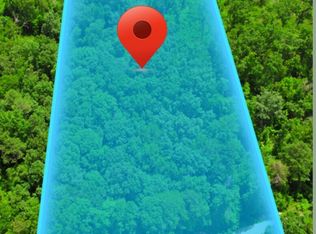 LOT 159 Jumper Dr, Ellijay, GA 30540