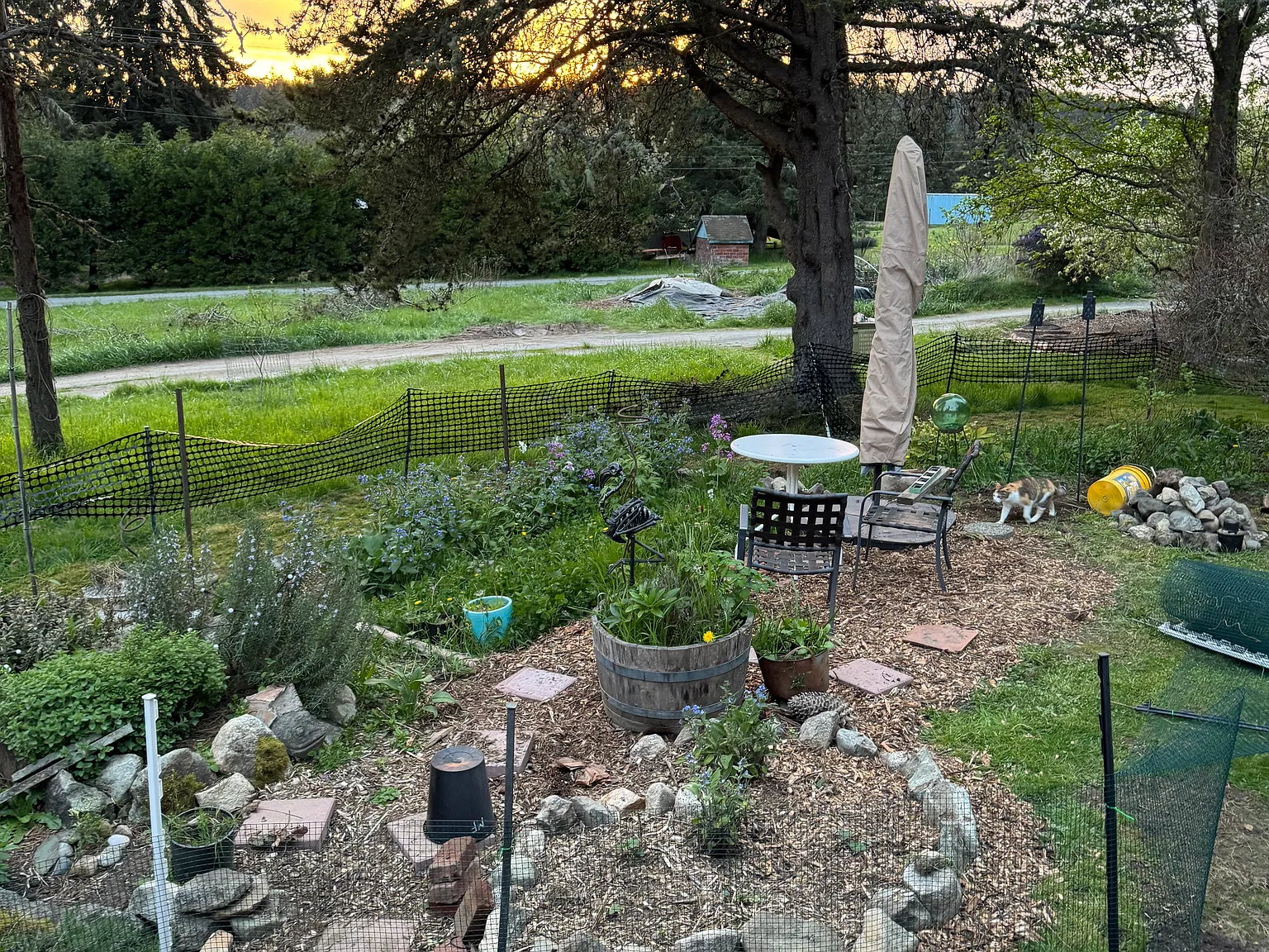 SW Cemetery Rd, Vashon — Photo 2