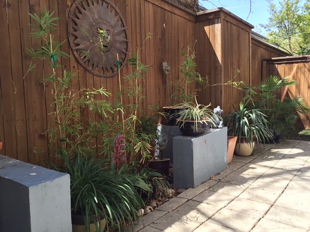 2nd image of 4327 Buena Vista St APT 5