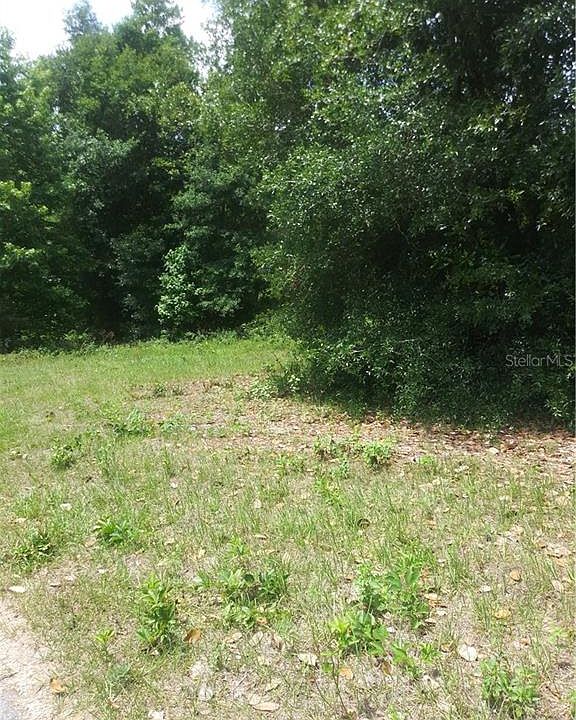 2nd image of Penny Ln