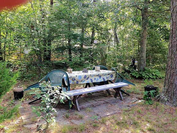 Picnic area