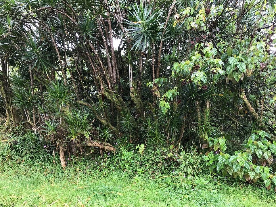 1st image of Uilani Dr Lot 28