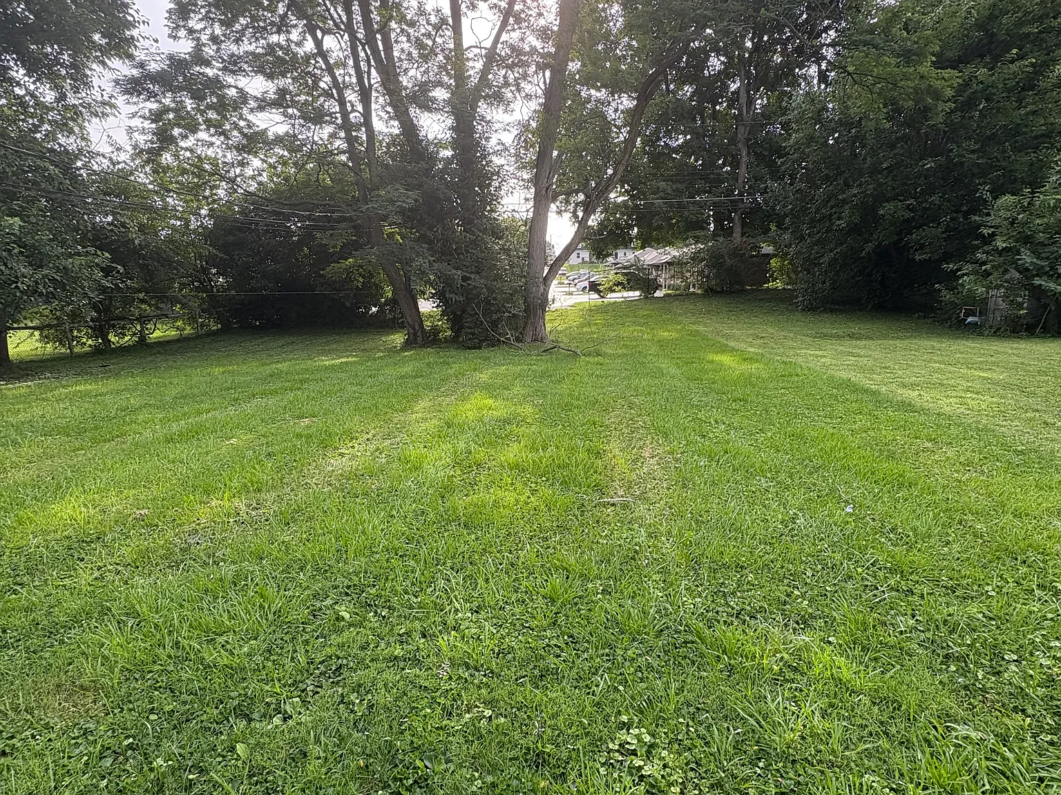 3 bed, 1364 sqft, $1,350 — Photo 3