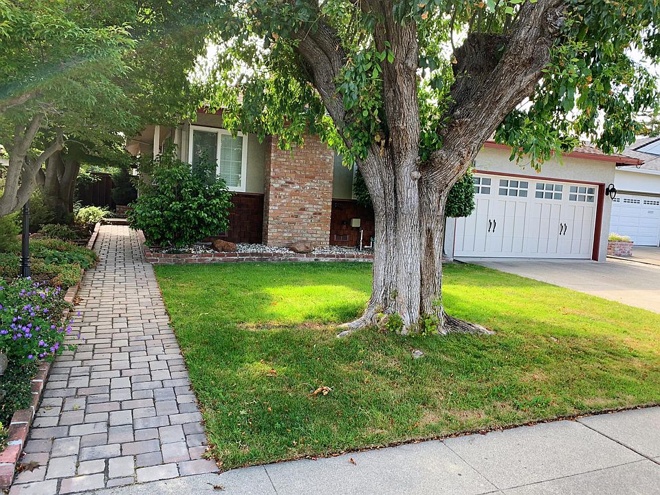 Cover picture for the front