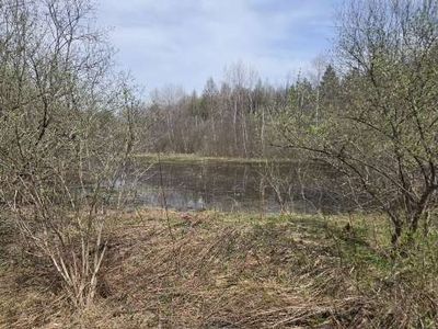 Doyle Rd, West Edmeston, NY, 13485