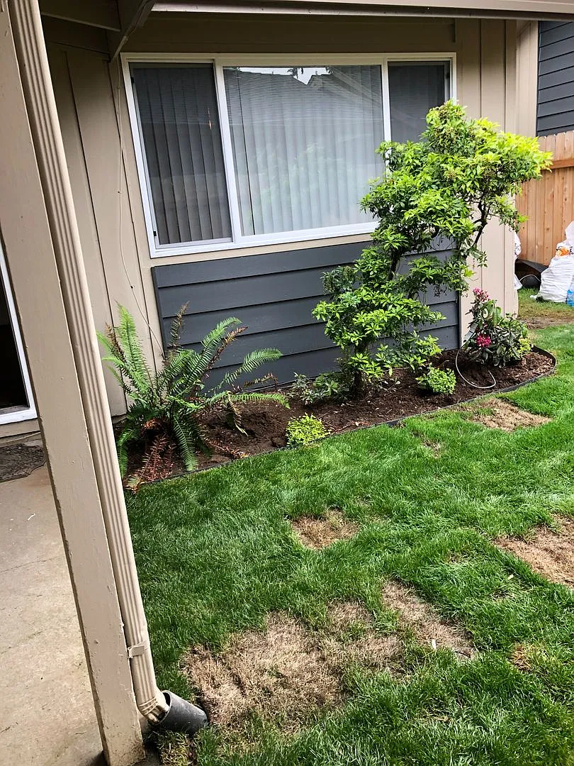 Vancouver 4 plex — Photo 3