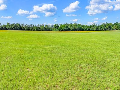 NW Loper Plantation Rd, Madison, FL, 32340