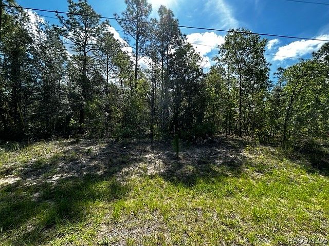 2nd image of 7193 N Tallwood Dr