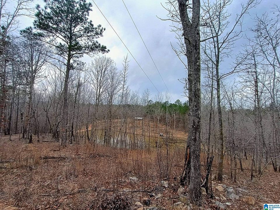 1st image of 13233 State Highway 9