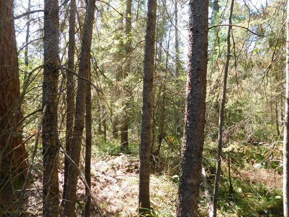 V/l 3779a Hopkins Lodge Trl, Grayling, MI 49738