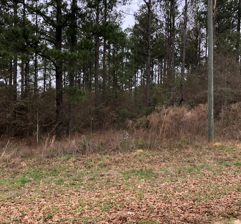 2nd image of 1963 County Road 1135
