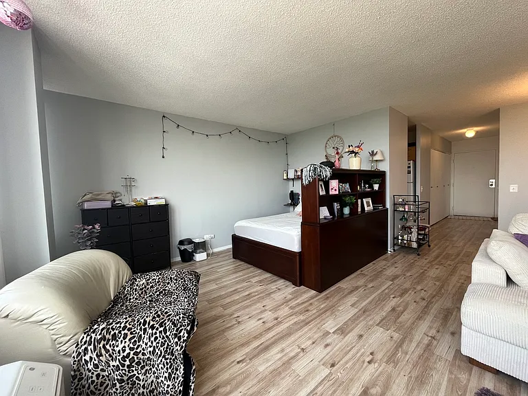 5320 N Sheridan Rd #1210 — Photo 8