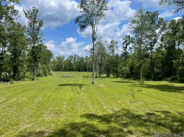 785 Hornsby Rd, Pine Grove, LA 70453
