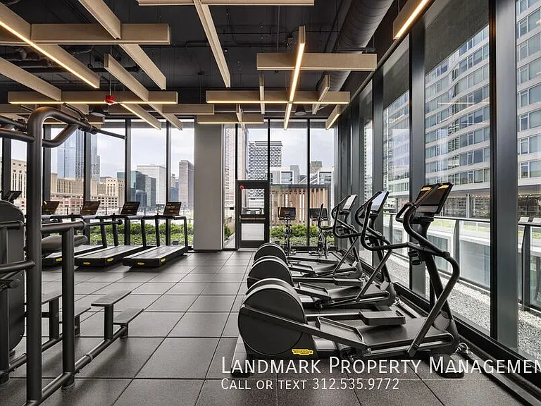 234 W Polk St #2508 — Photo 31