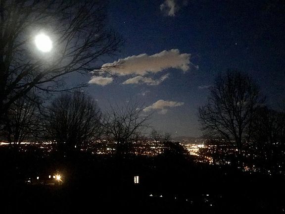 2nd image of 729 Skycoe Dr