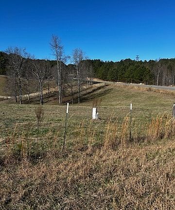 5th image of 1647 Garland Mountain Trl