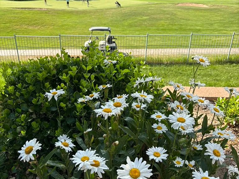 View of the golf course from the home
