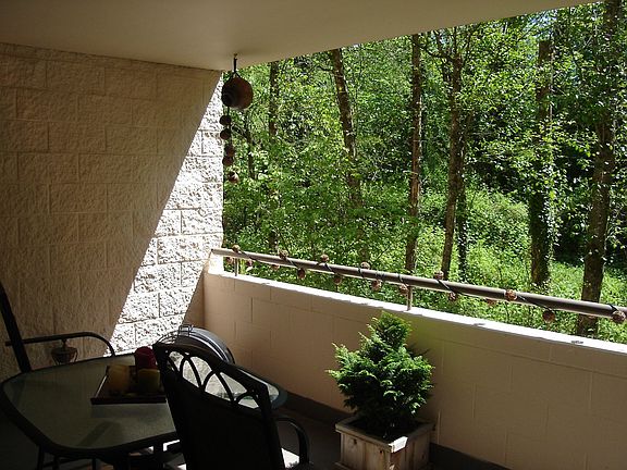 Wooded Patio with creek running