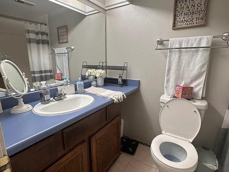 Downstairs bathroom