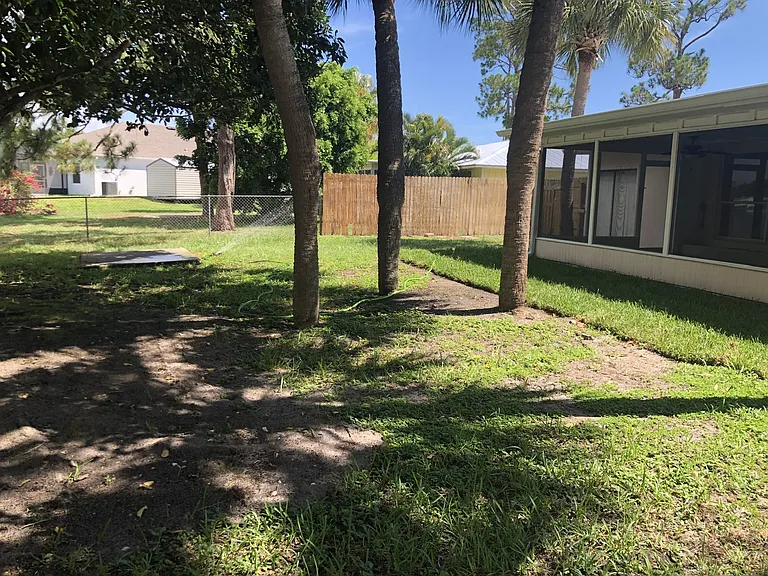 Palm Trees Fencing Back Yard