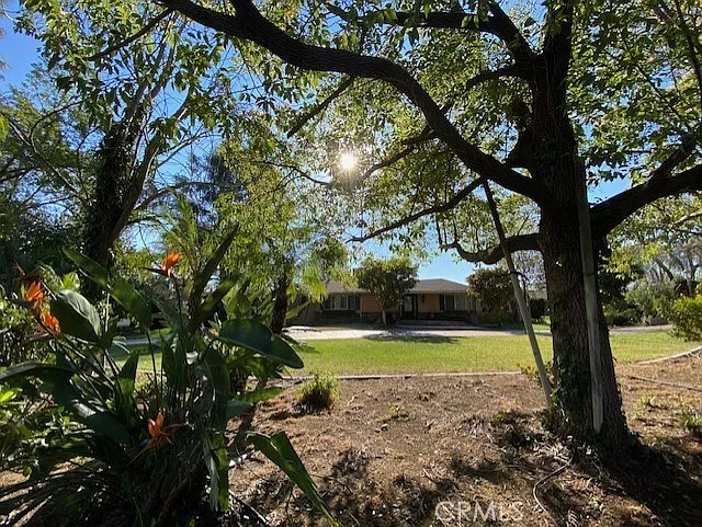 1693 N Euclid Ave — Photo 4