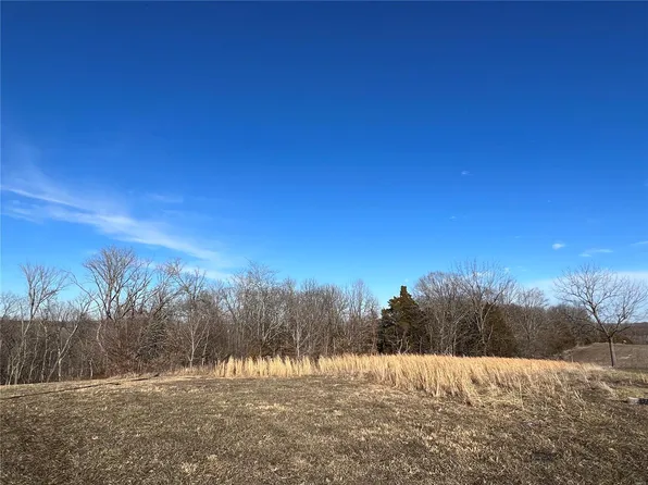 LOT 27 Tyler Branch Rd, Perryville, MO 63775
