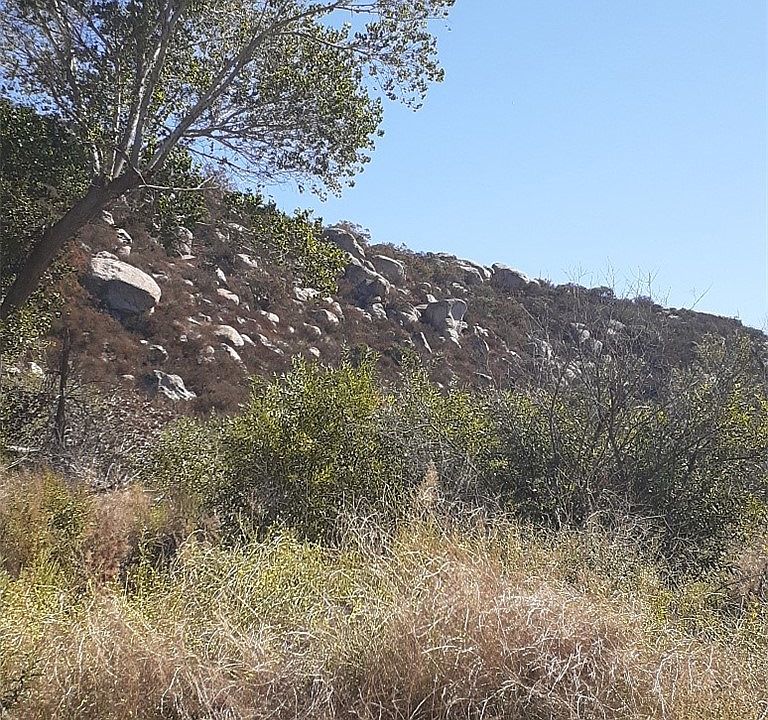 1st image of 0 Crazy Horse Cyn #783