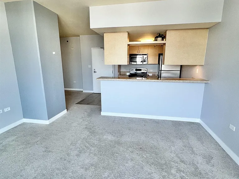 425 W Beech St #1157 — Photo 4