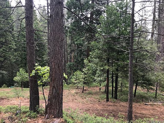 2nd image of 2566 El Dorado Dr