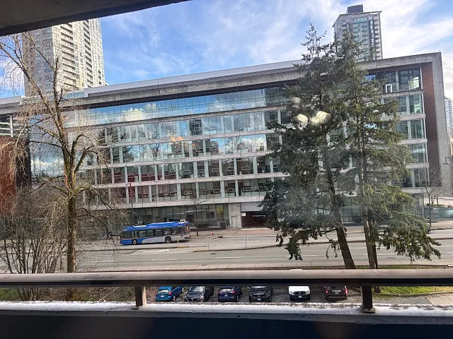 the view from your patio