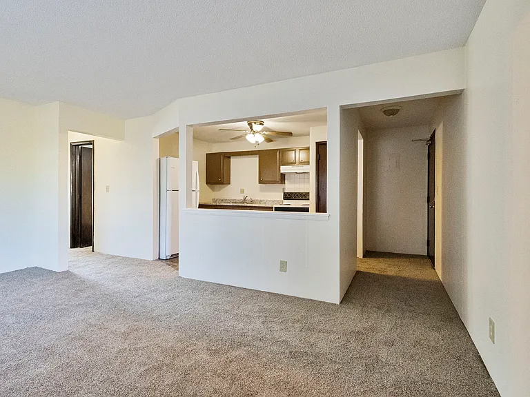 Living room/kitchen