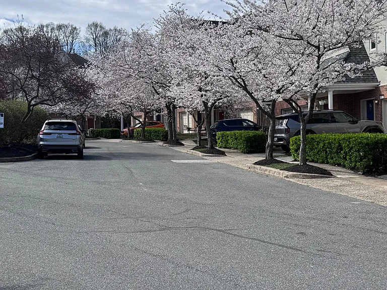 5218 Tabard Ct — Photo 2