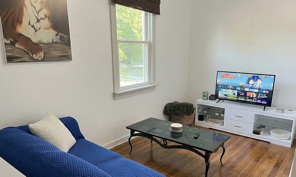 1 bed, 636 sqft, $1,500 — Photo 4