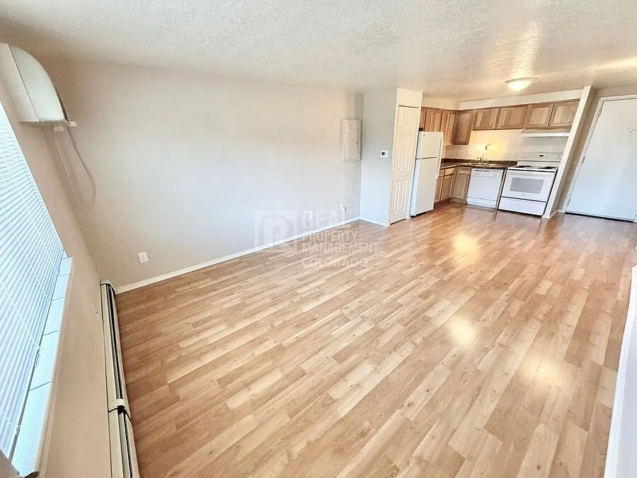 Beautiful Condo in Denver — Photo 3