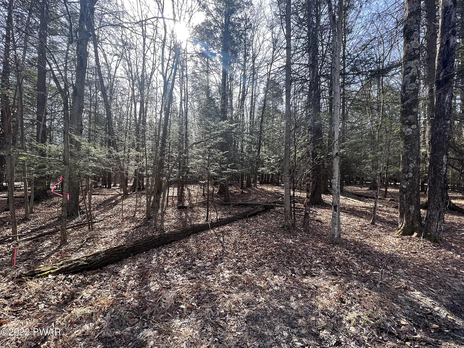 LOT 210 Polaris Way photo 1