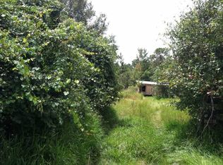 9690 Deer Rd, Zolfo Springs, FL 33890