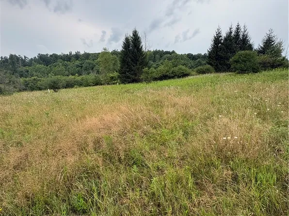 LOT 8605 One County Rte Lot 96-31, Wayne, NY 14840