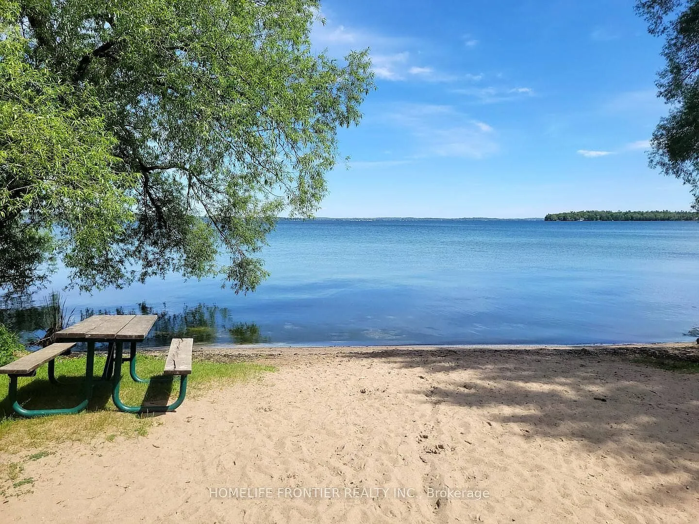 1 bed, $1,550 — Photo 1