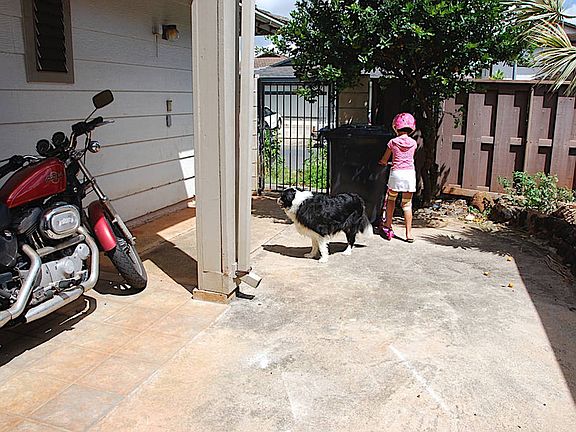 Safe play area for kids and 