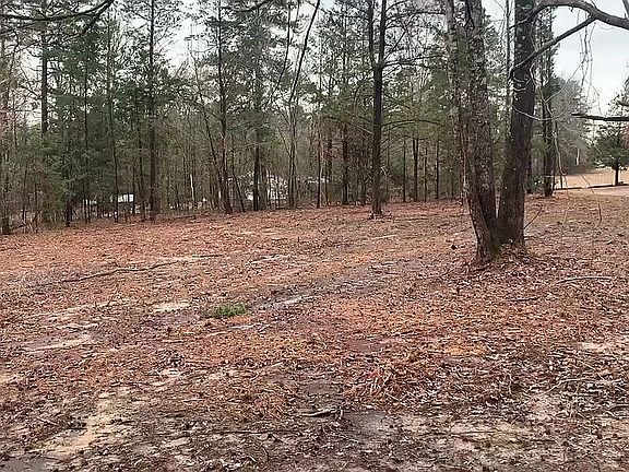 3rd image of 31 County Road 3778