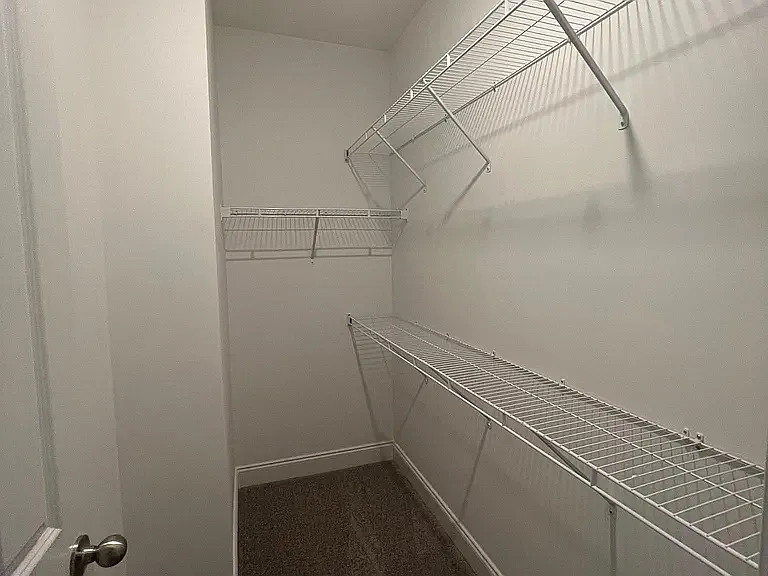 Primary Bedroom closet 1