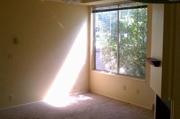 5th image of 1465 Harbor Pointe Dr