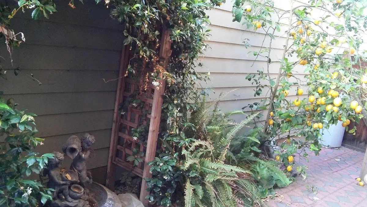 Valley Oak Terrace, San Jose — Photo 2