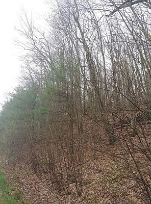 2nd image of 0 W Warren Rd
