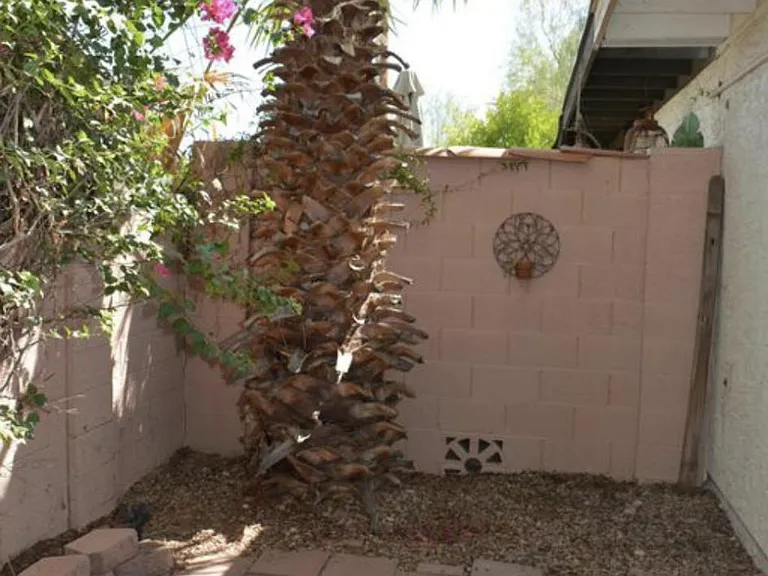 5144 E Holly St — Photo 15