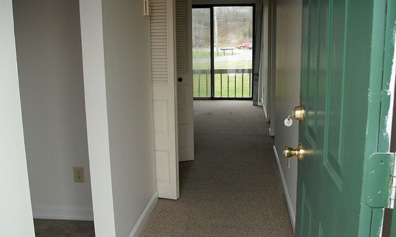 view from frontdoor into livingroom