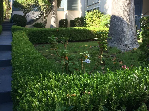 10967 Roebling Ave #2, Los Angeles, CA 90024