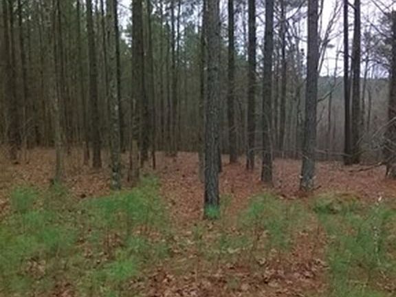 4th image of 895 Pickett Ln #28