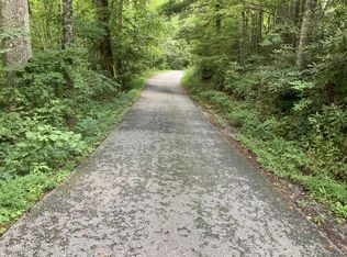 Shumont Rd LOT WP01, Lake Lure, NC 28746
